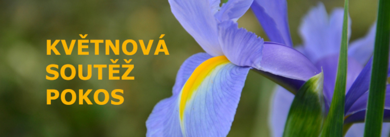 Soutěž