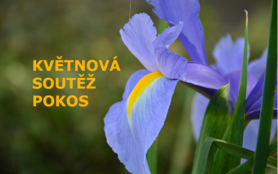 Soutěž