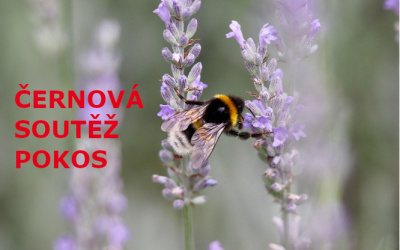 Červnová vědomostní soutěž