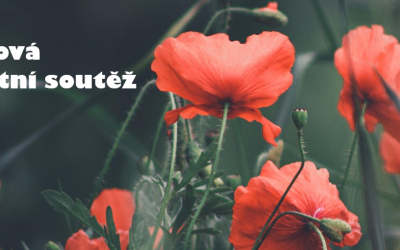 Listopadová soutěž POKOS