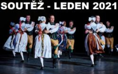 soutez_-_leden_2021.jpg